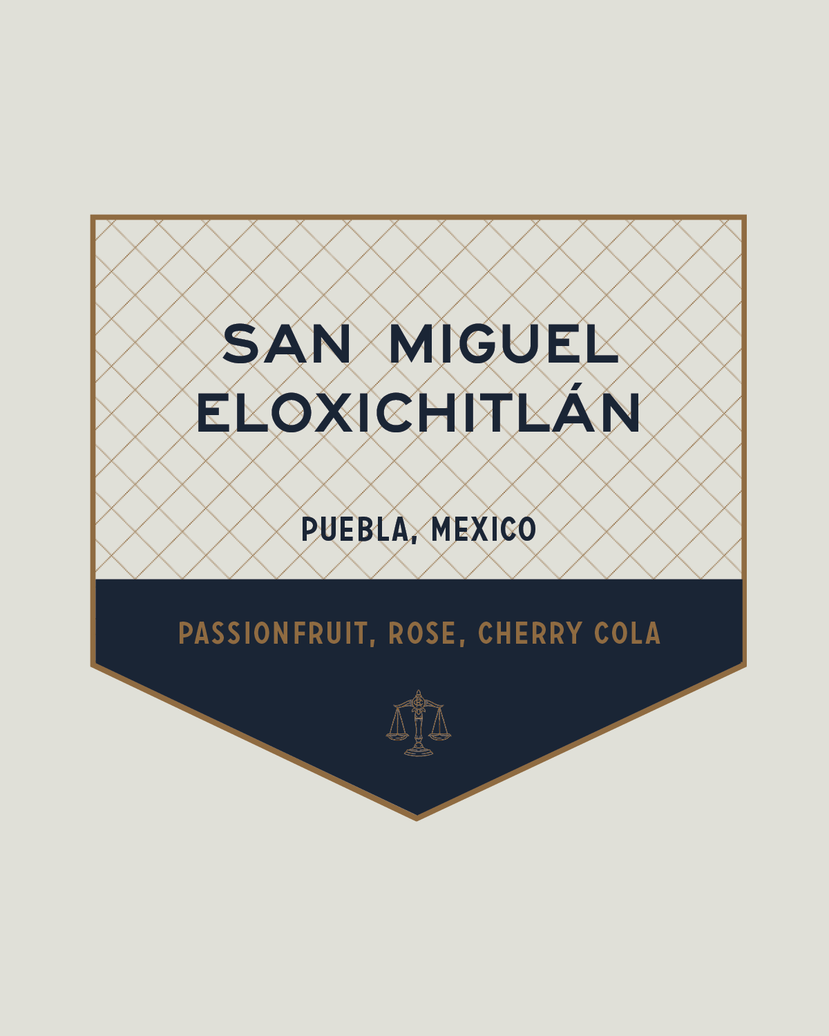 Mexico | San Miguel Eloxichitlán 2023