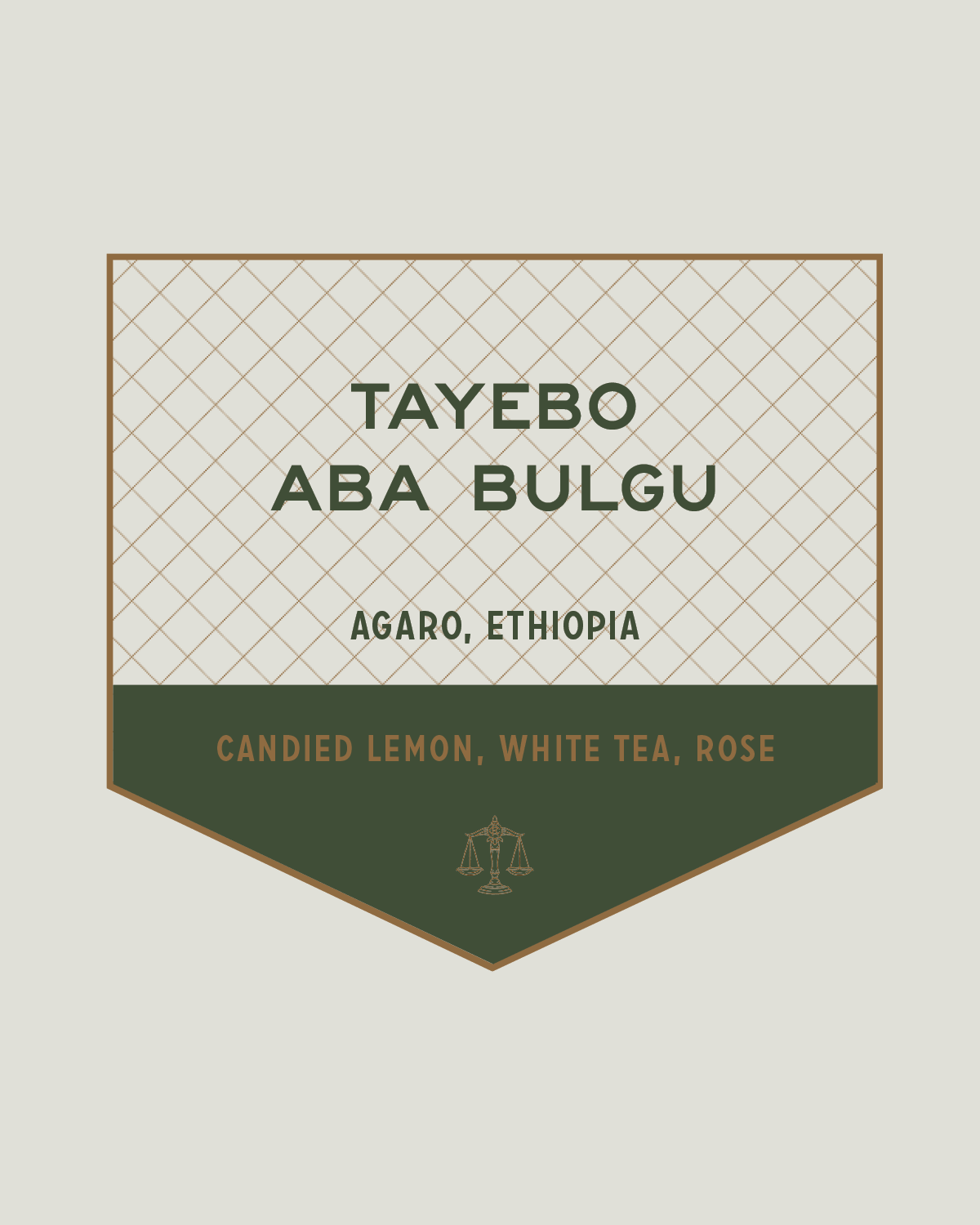 Ethiopia | Tayebo Aba Bulgu 2023